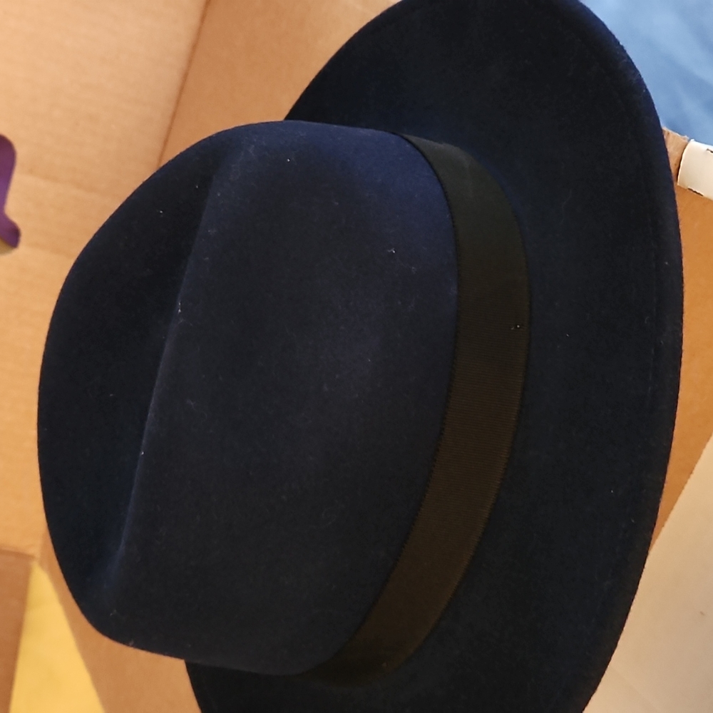 Blue fedora Large